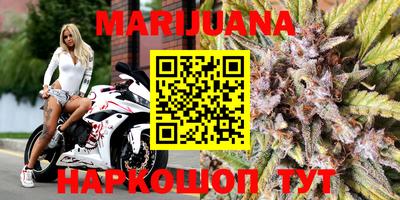крисы Будённовск