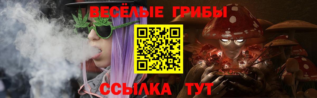 Галлюциногенные грибы мухоморы Егорьевск